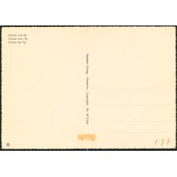 Lilles&oslash; ved Ry - Stender 49 713/61