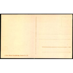 Kbenhavns Springvande - Dragespringvandet paa Raadhuspladsen - Chr. Olsen 125