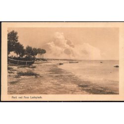 Parti ved Faxe Ladeplads - Ales Vincent 71