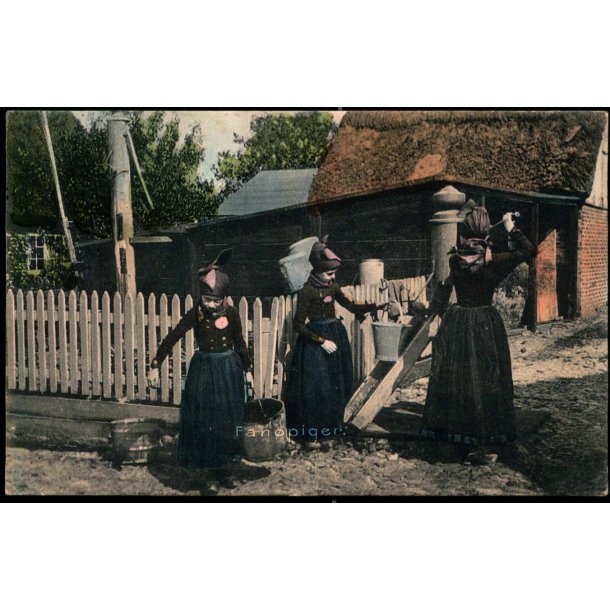 Fan�piger - Stender 2183