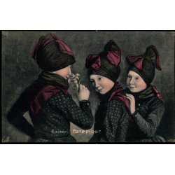 Exner : Fan�piger - Stender 791