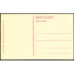 Fan&oslash; - I Klitterne - J.N. Hansen 4919