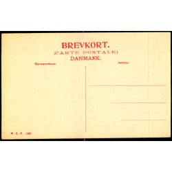 Fan&oslash; - Klitparti med Stranden - W.K.F. 1263