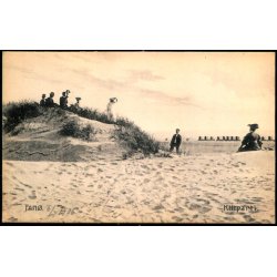 Fan&oslash; - Klitparti - J.N. Hansen 4938