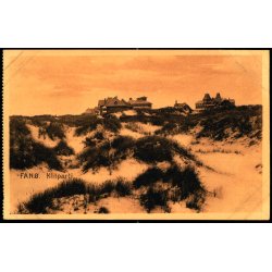 Fan&oslash; - Klitparti - I.N. Hansen 184