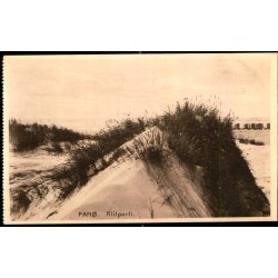 Fan&oslash; - Klitparti - J.N. Hansen 13071