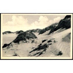 Fan&oslash; - Klitparti - C.J.C. 7261