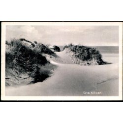 Fan&oslash; - Klitparti - I.N. Hansen 78316