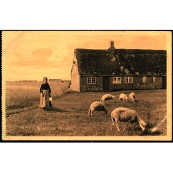 Fan&oslash; - Parti ved Nordby - I.N.Hansen u/n