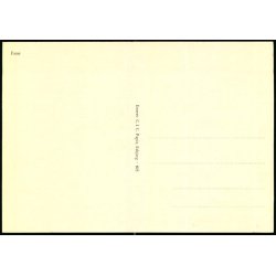 Fan&oslash; - C.I.C. - 803