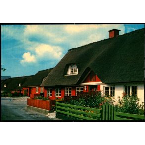 Fan&oslash; - C.I.C. - 782