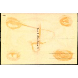 Fan&oslash; - C.I.C. - 782