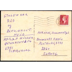 Tj�reborg - Stjerne Foto 37900