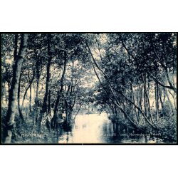 Bramminge - Parti ved Hovedgaarden - M. Hansen 15406b