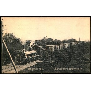 Bramminge - Banegaardsplantagen - M. Hansen 6186