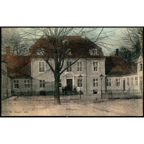 Edelgave - C. St. 4035