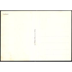 Fan&oslash;dragter - C.I.C. 575