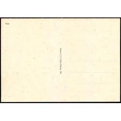 Fan&oslash; - C.I.C. - 884