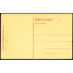 Parti fra Strandveien - Alex Vincent 7