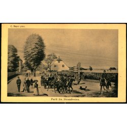 Parti fra Strandveien - Alex Vincent 7