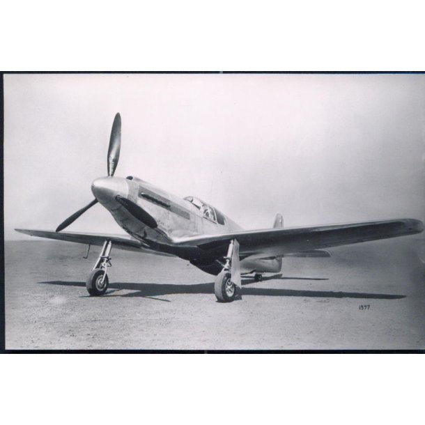 North American P 51 - Mustang - Victoria House u/n