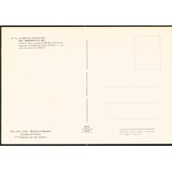 Siai - Marchetti S 205 - u/n