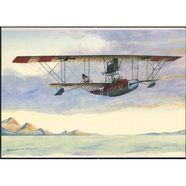 Lohner L 135M - Flymuseum u/n