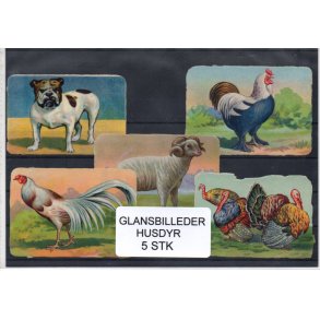 Glansbilleder - Husdyr 5 Stk -. Reklame for F. Joachlmsens Kaffe