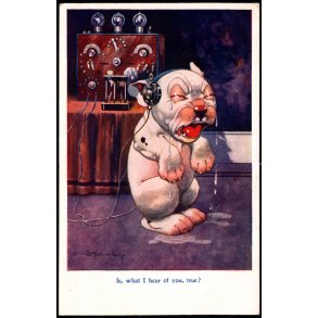 Studdy - Bonzo - Is, What I Hear You, True ? - R.P.S. 1044