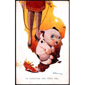 Studdy - Bonzo - I`M Expecting One From You.- Valentine 1378