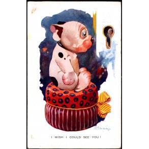 Studdy - Bonzo - I Wish I Could See You !. - Valentine 1518