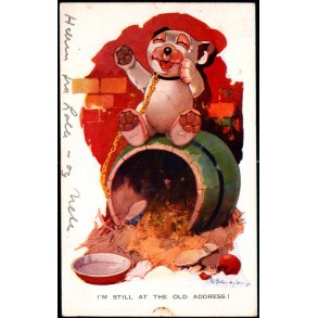 Studdy - Bonzo - I`M Still At The Old Address ! - Valentine 1517