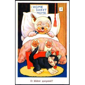 Studdy - Bonzo - Et Kildent Spørgsmål ? - Stender 1032