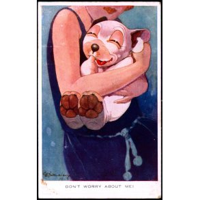 Studdy - Bonzo - Don`T Worry About Me ! - Valentine 1260