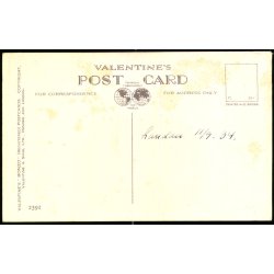 Studdy - Bonzo - Ballyhoo Old Bean ! - Valentine 2391