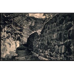 S&oslash;borg - Slots Ruin - V. Oscar S&oslash;tofte 209