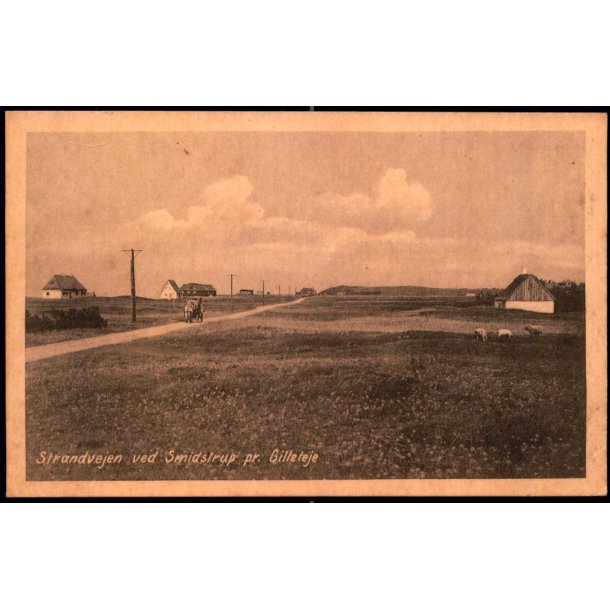 Strandvejen ved Smidstrup pr. Gilleleje - V. T&uuml;rck 712