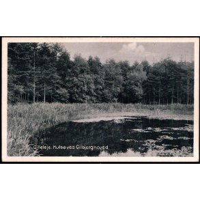 Gilleleje - Huls&oslash; ved Gilbjerghoved - Laurits Larsen 38