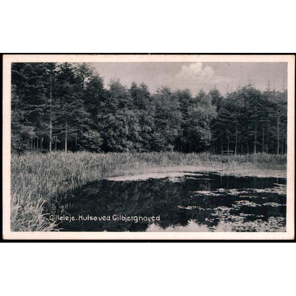 Gilleleje - Huls&oslash; ved Gilbjerghoved - Laurits Larsen 38