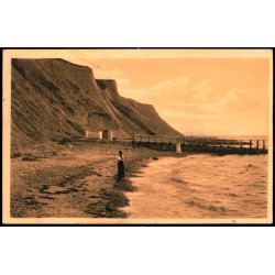 Gilbjerghoved - Gilleleje - Einer Jespersen 40917