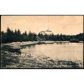 Gilleleje - Gilbjerg Plantage - V. Oscar S&oslash;tofte 195