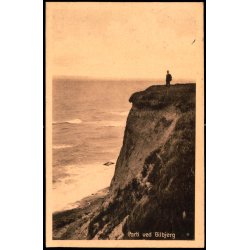 Parti ved Gilbjerg - Laurits Larsen 8