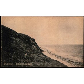 Gilleleje - Gilbjerg Bakker - V. Oscar S&oslash;tofte 131