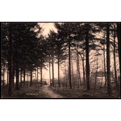 Gilleleje - Knud Poulsen 25222