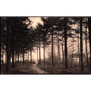 Gilleleje - Knud Poulsen 25222