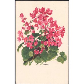 Hancke - Toper - u/n