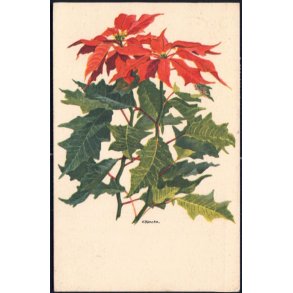 Hancke - Toper - u/n