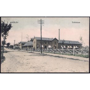 Haslev - Trifolium - Peter Alstrup 2158