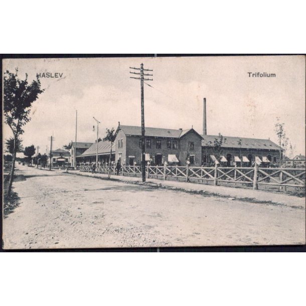 Haslev - Trifolium - Peter Alstrup 2158