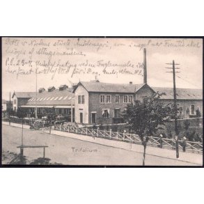 Haslev - Trifolium - Aug. Olsens Bogh. 3634